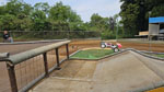 Click the picture for larger photo!