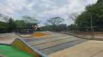 Click the picture for larger photo!