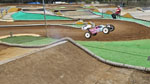 Click the picture for larger photo!